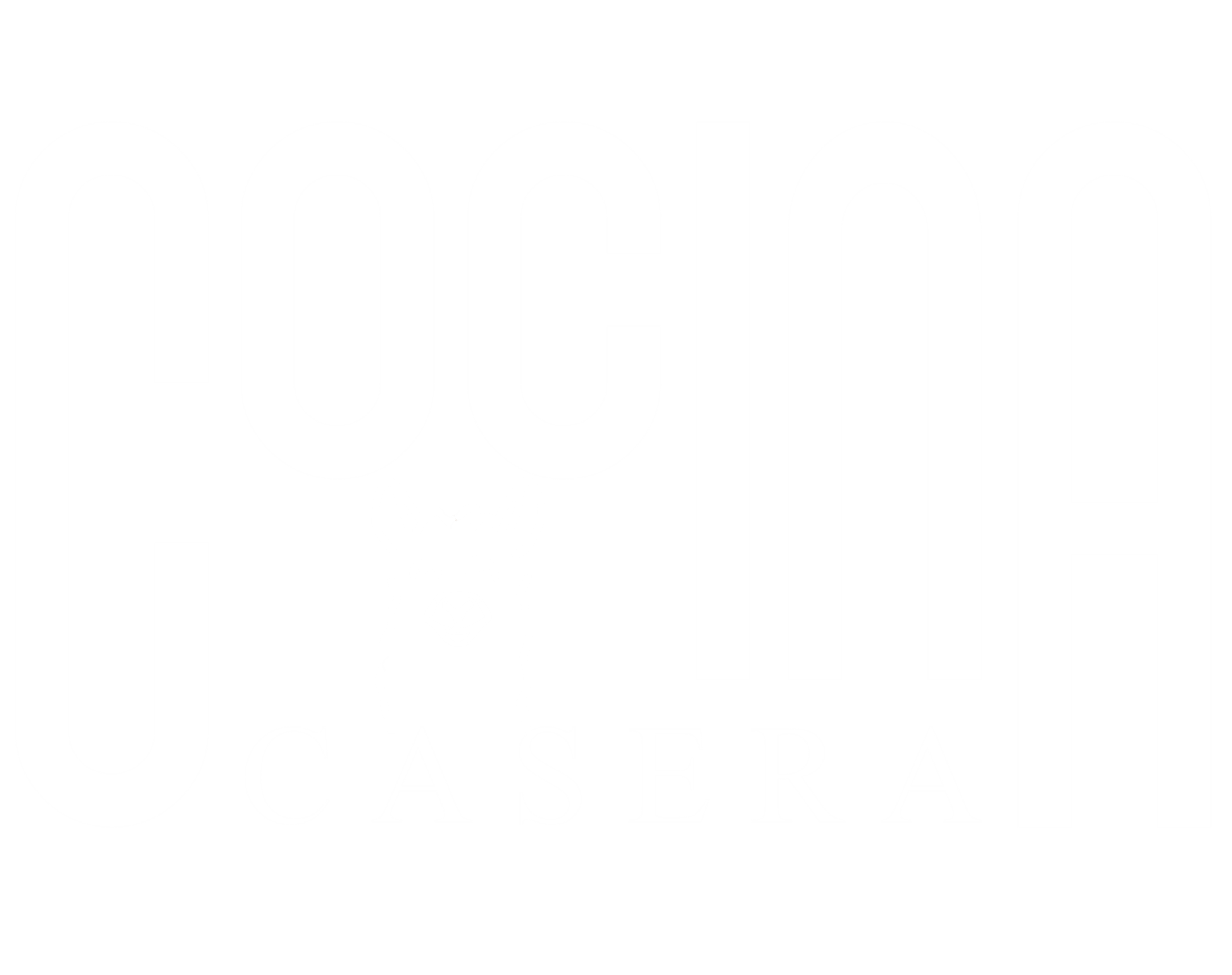 COCINA CASERA LLAMA LOGO